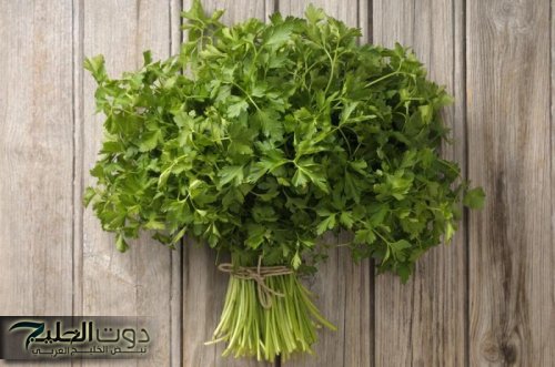 عشبة معجزة برائحة ربانية في كل بيت عربي.. تقوي الذاكرة ويغذي المخ ويحارب الشيخوخة ويعزز نمو الشعر ويطيل
