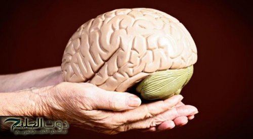 علماء يطورون طريقة لإبطاء شيخوخة الدماغ