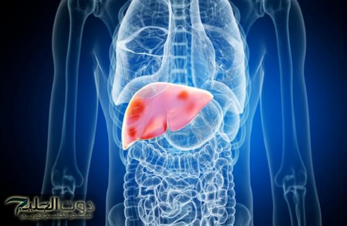 توقف الآن! .. خبير تغذية يكشف خطأ نرتكبه يوميًا يدمّر الكبد ببطء!