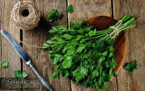 «تصنع المعجزات في 3 ساعات».. عشبة خضراء برائحة حلوة وبسعر التراب تزيل السموم من الجسم وتمنع ارتفاع سكر