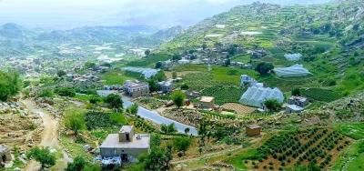 أخبار اليمن : الشوافي يحذّر مجدداً من صقيع متوقّع