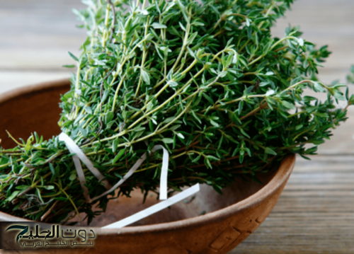 «اعشاب هتخليك تقفل الإمتحان»... تعرف على اشهر الوصفات الطبيه لعلاج الزهايمر وضعف الذاكره حتى بعد سن 70