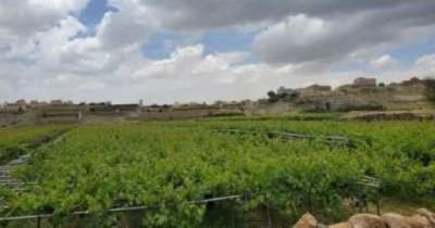 أخبار اليمن : استعدوا لموجة صقيع جديدة في هذا الموعد