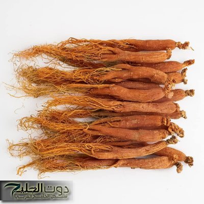 أقوى من إبرة الأنسولين.. النبتة الجبارة لخفض السكر التراكمي خلال 30 دقيقة