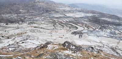 أخبار اليمن : الشوافي يحذّر: موجة الصقيع تصل ذروتها