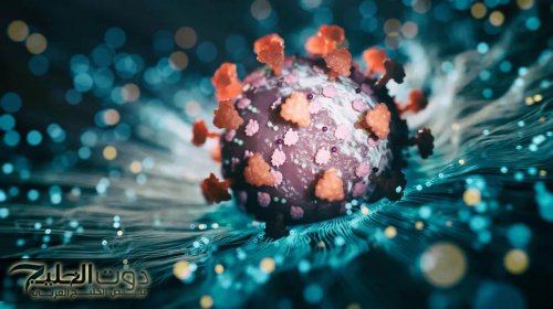 أول تعليق من «الصحة» بشأن انتشار فيروس جديد في مصر.. وتحذير لأولياء الأمور