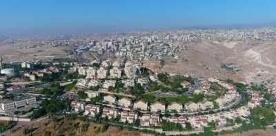 أخبار اليمن : الاحتلال يستولي على 1042 دونما في الضفة