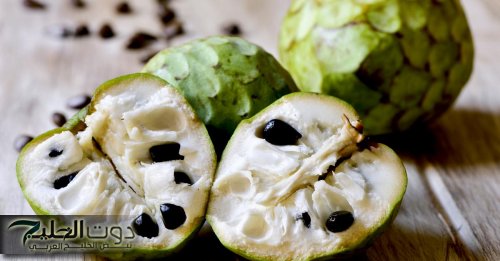 "محظوظ لو عرفتها"؟.. فاكهة تحارب السرطان وتقوي جهازك المناعي.. تحميك من الأمراض