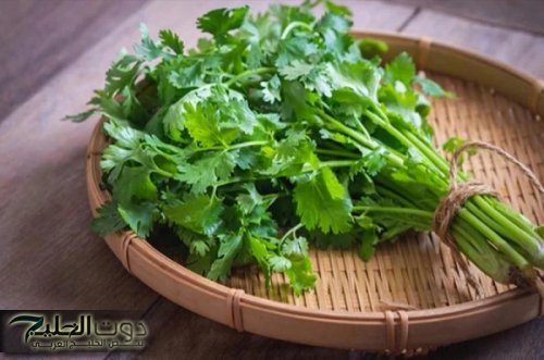 «كنز رباني لا يقدر بثمن!» .. عشبة نزلت من السماء تفتت الحصوات تخفض السكر التراكمي تنقي الكبد وتنظف الكلى