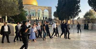 أخبار اليمن : 1138 مستعمرا يقتحمون الأقصى