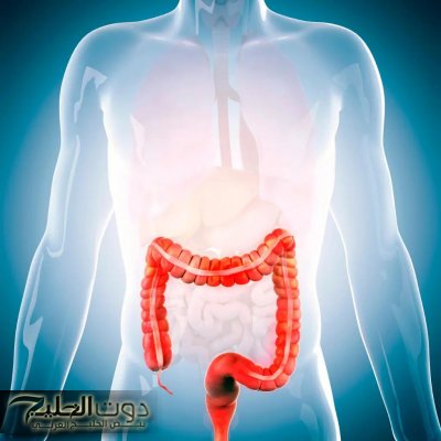 ضاع عمرنا واحنا منعرفش أنها كنز كبير .. العشبة الخارقة لتنظيف القولون وتطهير الأمعاء من البراز المتحجر