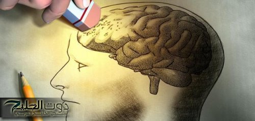 عقلك مش هيستوعبها…مسن كبير يكشف عن طريقة عبقرية للتخلص من النسيان والوصول إلى مرحلة الذكاء بنسبة 200%