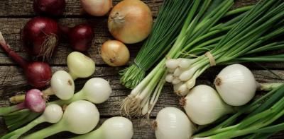 لماذا وكيف يجب تناول البصل يوميا؟