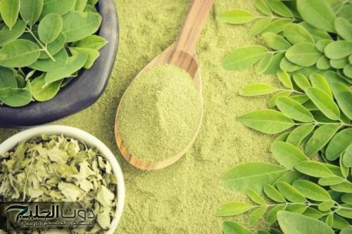 “ معجزة ربانية لا تقدر بثمن ” .. عشبة سحرية تحيي وظائف الكلى وتعيد نشاط الكبد مهما كان تالف وتحارب