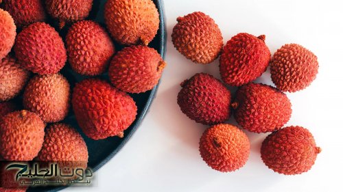 العشبة المعجزة.. نبات يؤخر الشيخوخة ويقلل من علامات تقدم السن.. هترجعي شباب لو عمرك اكثر من 70 سنه