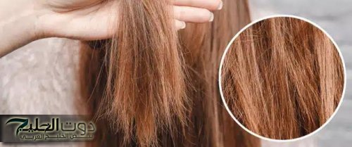وصفة نمو الشعر التالف من أول مرة.. رجعي شعرك لطبيعته الخلابة الأن