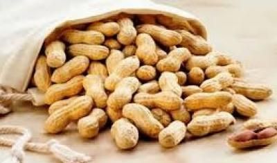 لتعزيز ذاكرتك... تناول هذه الوجبة الخفيفة يومياً