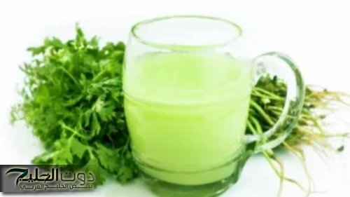 «العشبة الجبارة».. هتخلصك من السموم ورواسب الاملاح بالجسم ومدره للبول وبها مضادات أكسدة.. جربها دلوقتي