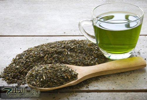 اكتشف فوائد الشاي الاخضر واضمن صحتك يوميا