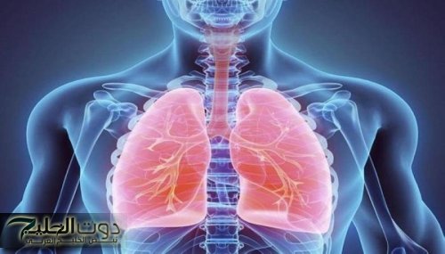 إليكم طرق الوقاية من أمراض الجهاز التنفسي