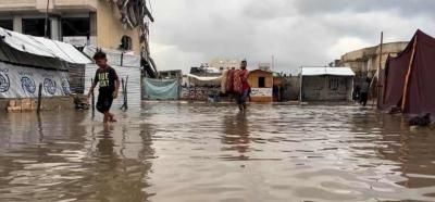 أخبار اليمن : غزة.. الأمطار تفاقم المعاناة الإنسانية