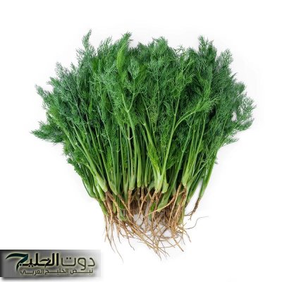 «تصنع المعجزات في 3 ساعات».. عشبة خضراء برائحة حلوة وبسعر التراب تزيل السموم من الجسم وتمنع ارتفاع سكر