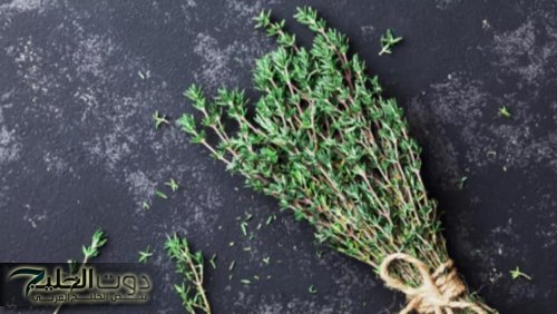 "هيغيرو حياتك 360 درجة"... اعشاب طبيعيه متوفره في كل مكان سفاحه في قتل البكتيريا والفيروسات