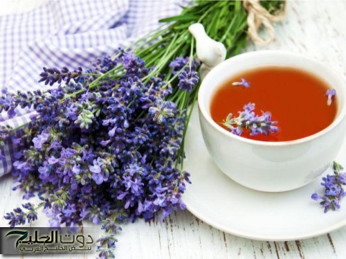 «ودع الإرهاق والأرق بدون أدوية؟!!!».. أعشاب طبيعية تساعد على النوم وتهدأ الأعصاب في 3 دقائق فقط| جرب بنفسك