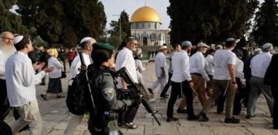 أخبار اليمن : مستعمرون يقتحمون المسجد الأقصى
