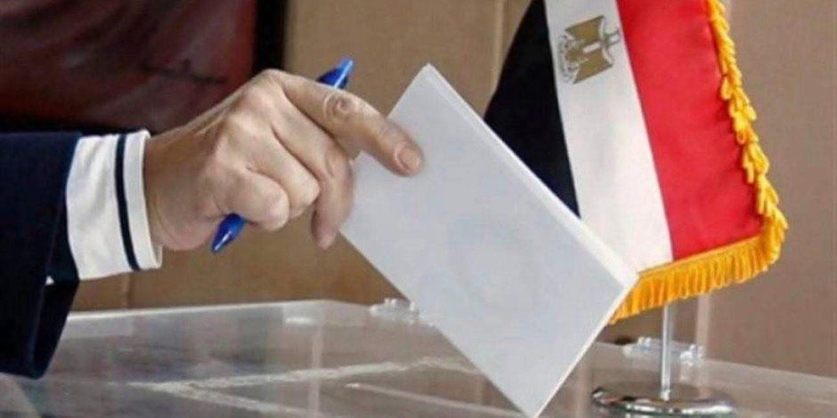 الهيئة الوطنية تعلن نتيحة انتخابات البحيرة فى الـ 30 دائرة الملغاة