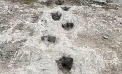 أخبار اليمن : اكتشاف آثار أقدام ديناصورات