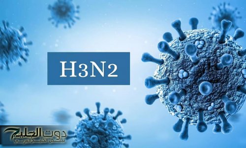 تعرف على إنفلونزا H3N2