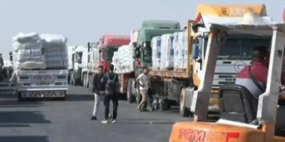 نائب الرئيس التركي يعرب عن تقدير بلاده لدور مصر في وقف الحرب على قطاع غزة