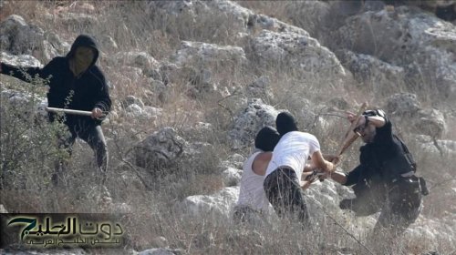 مستوطنون يهاجمون مركبات فلسطينية شرق رام الله بالضفة