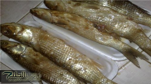 طبيبة تحذر من الفسيخ العادم.. يؤدي للوفاة| احذر هذه العلامات