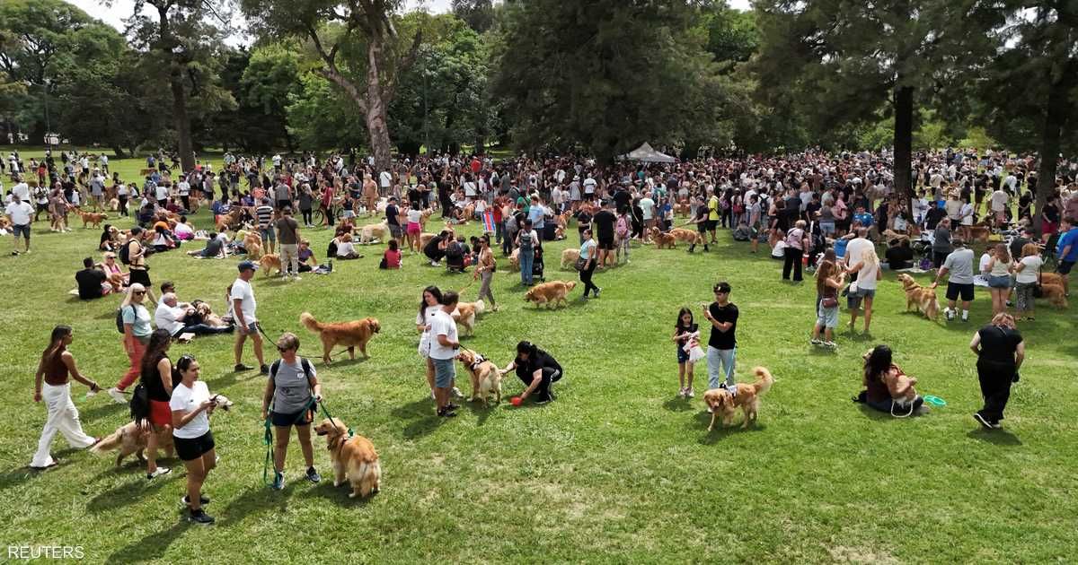 العالم اليوم - دراسة تكشف سرا مثيرا عن علاقة البشر بالكلاب: الميكروبيوم