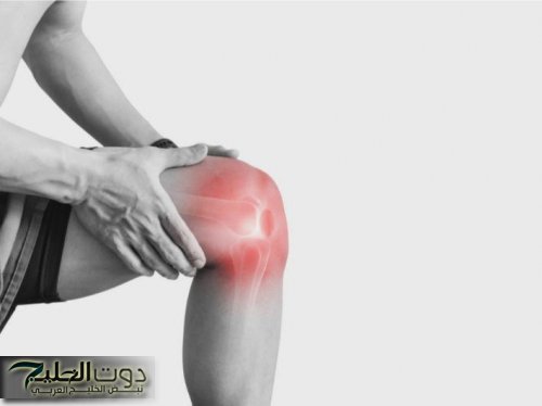 لنتيجة لا تصدق.. بهذه الأطعمة يمكنك تجديد الغضروف في ركبتك.. تعرف عليها الآن