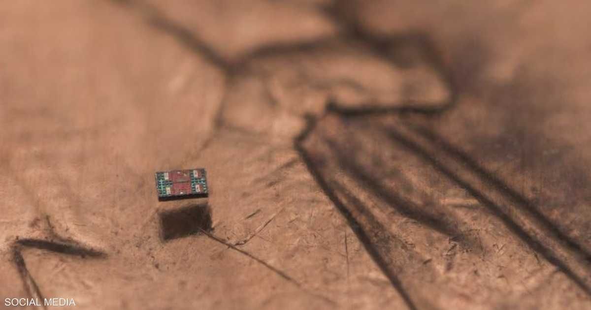 العالم اليوم - روبوت أصغر من حبة ملح.. قادر على الإحساس واتخاذ القرار
