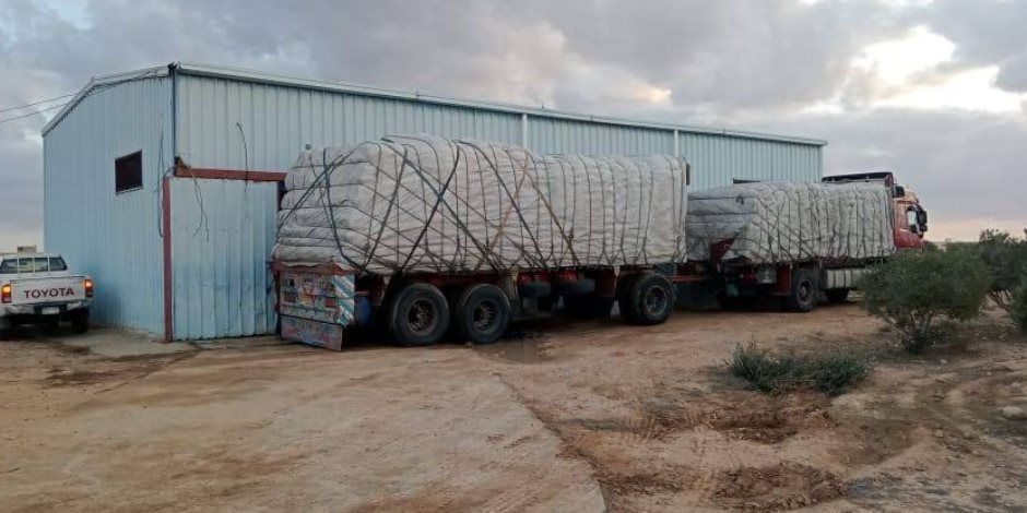 الزراعة: توزيع 100 طن تقاوي شعير و33 ألف شتلة زيتون "بالمجان" لدعم مزارعي مرسى مطروح