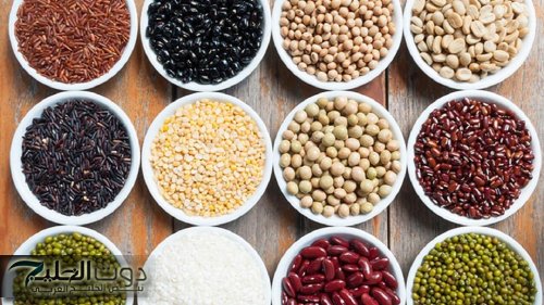 وداعًا للكوليسترول.. أطعمة مذهلة بتنظف جسمك وتحمي القلب من الأمراض