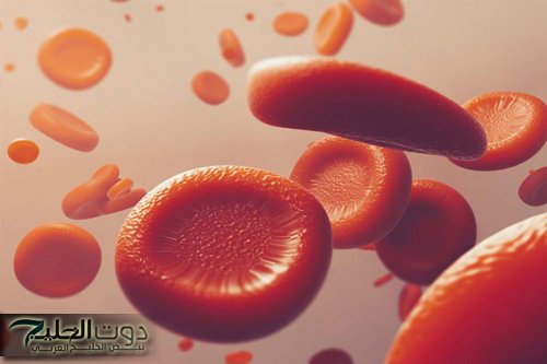 حسام موافي يكشف سببًا غير متوقعًا للأنيميا: علاجها الجراحة