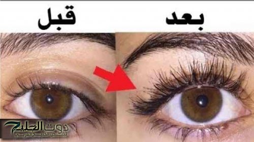 تكثيف الحواجب والرموش بوصفات طبيعية فهو السر الطبيعي لجمال العيون