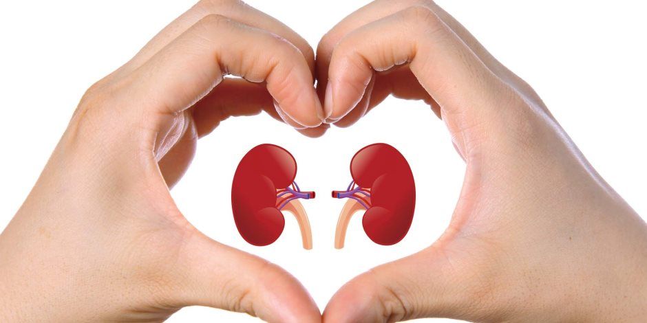 5 عادات يومية تضر بصحة الكلى لدى النساء بعد الأربعين