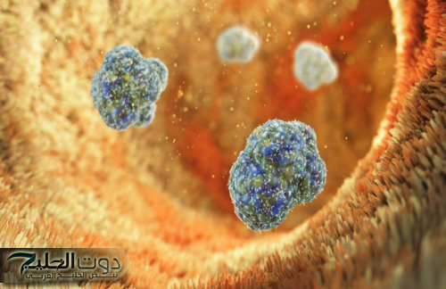 خبر سار .. اكتشاف قد يحدث ثورة بالوقاية من السمنة