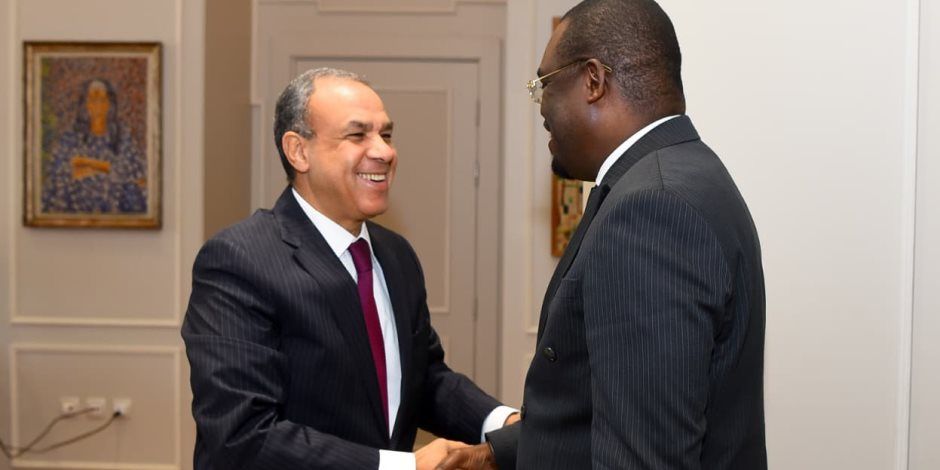 وزير الخارجية يؤكد دعم مصر لتعزيز منظومة الصحة والأمن الدوائي في أفريقيا