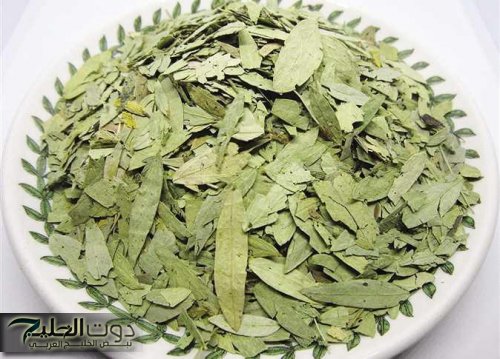 ما هي عشبة السنامكي وفوائدها للشعر والصحة والبشرة