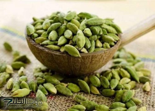 الحبهان وجرثومة المعدة.. هل يساعد «الهيل» في علاجها خلال 3 أسابيع؟