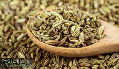 عشبة سحرية هتغنيك عن الطبيب.. تقوي المناعة وتنعش الذاكرة بشكل مذهل