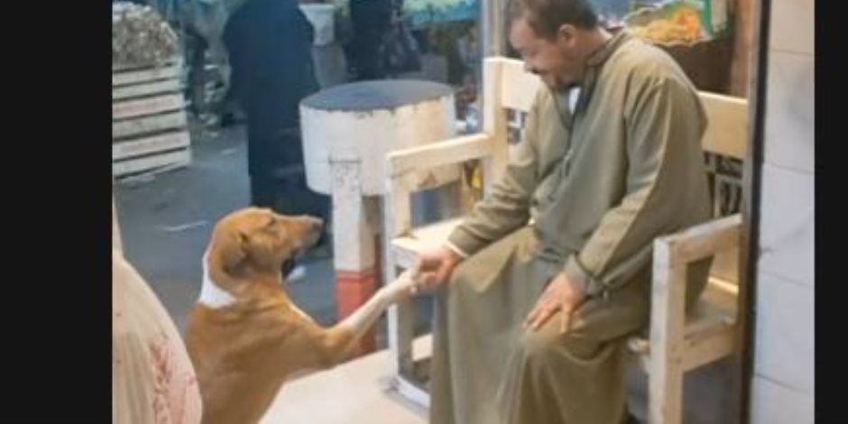 جزار إمبابة صاحب فيديو الكلب: كل يوم بقدم له وجبة أو اتنين.. وأحمد سالم: نموذج يفرح