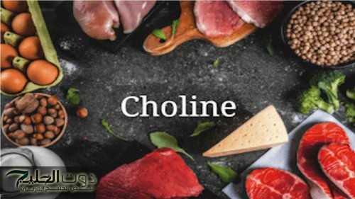 كنز رباني في البيض.. ماذا يفعل «الكولين» في أجسادنا